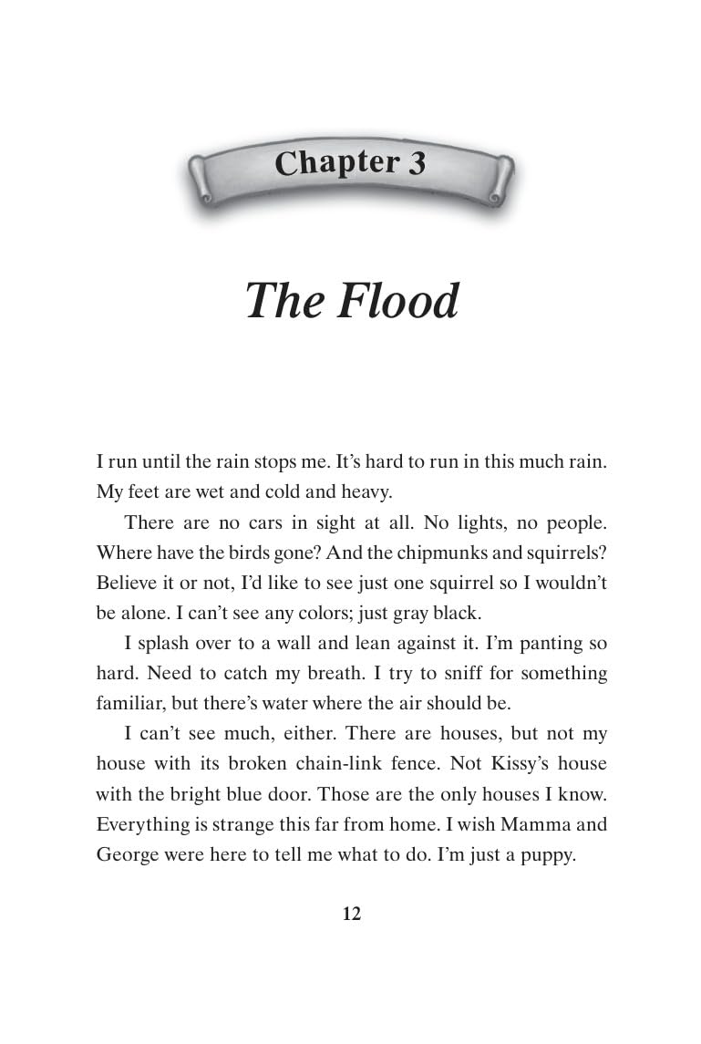 Hooper Finds a Family: A Hurricane Katrina Dog's Survival Tale – A Moving Chapter Book for Kids (Ages 8-12) About a Plucky Puppy Overcoming Trauma