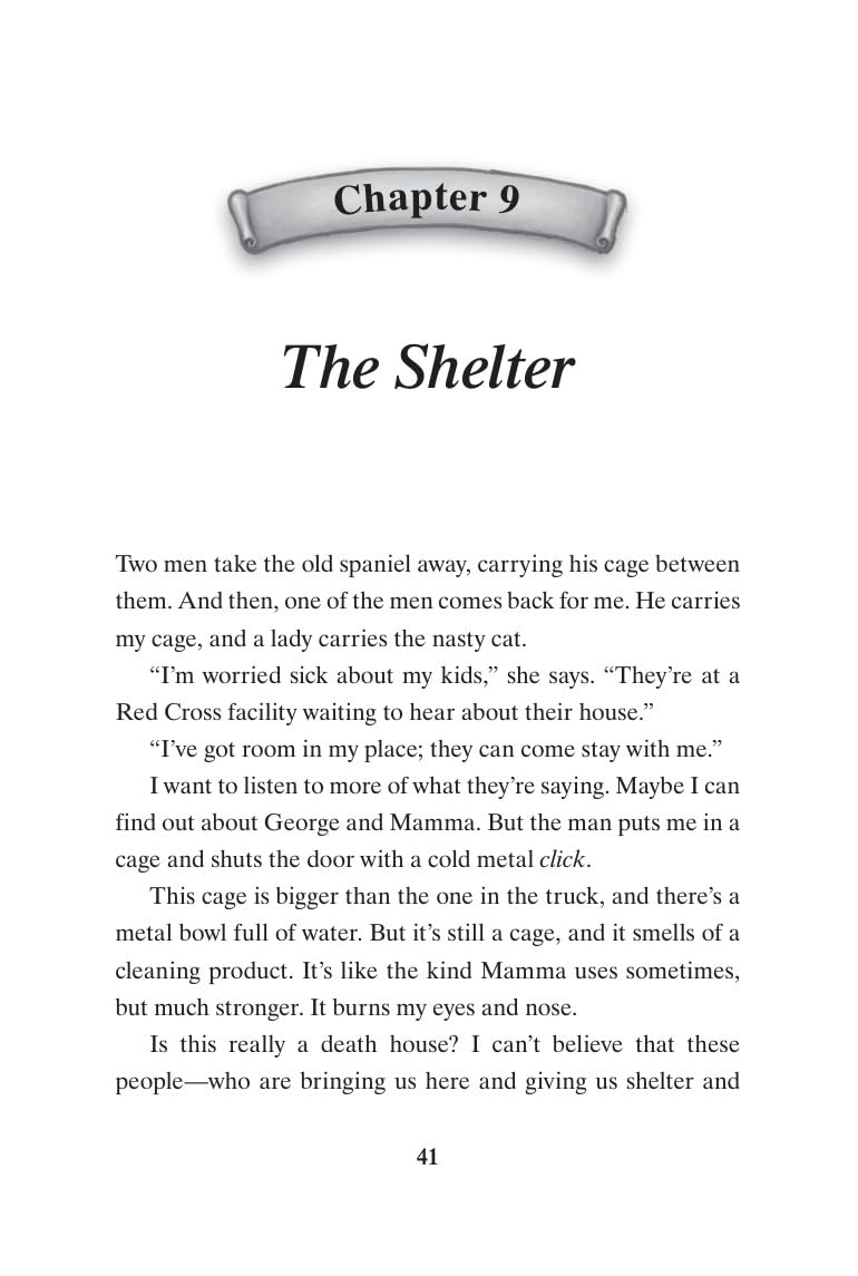 Hooper Finds a Family: A Hurricane Katrina Dog's Survival Tale – A Moving Chapter Book for Kids (Ages 8-12) About a Plucky Puppy Overcoming Trauma
