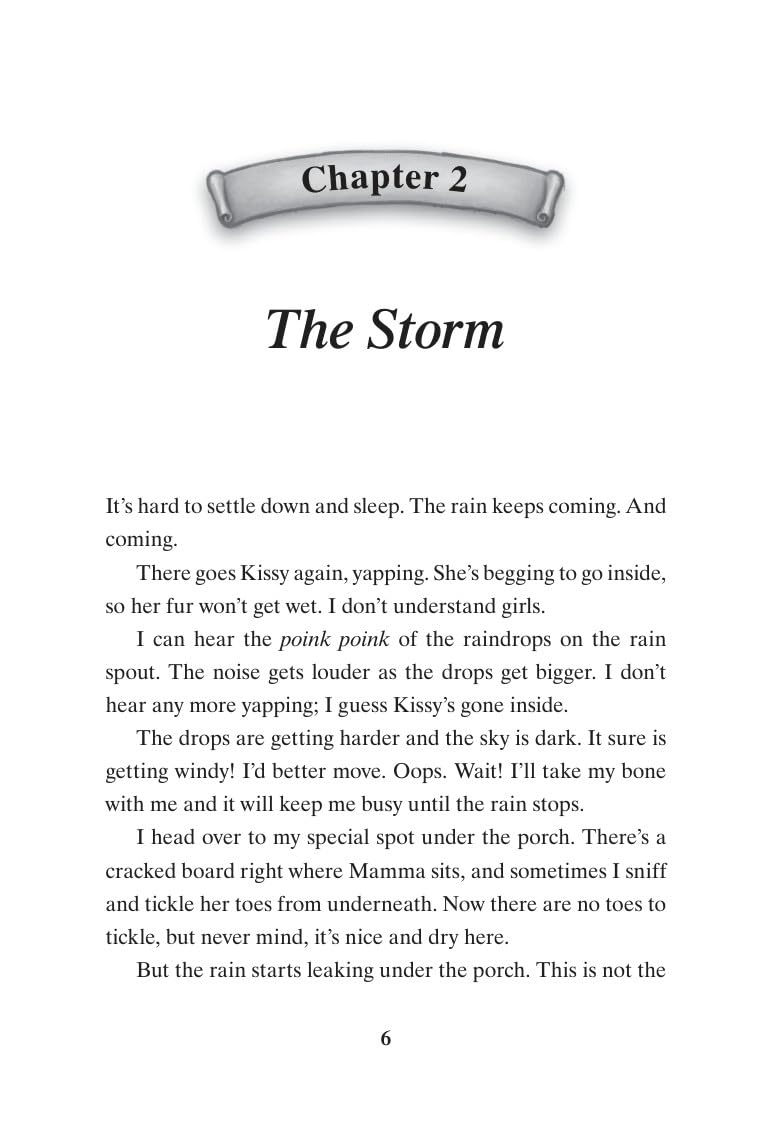Hooper Finds a Family: A Hurricane Katrina Dog's Survival Tale – A Moving Chapter Book for Kids (Ages 8-12) About a Plucky Puppy Overcoming Trauma